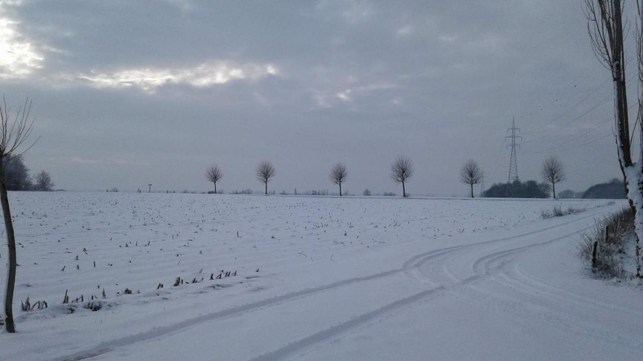 B & B Victors Hof, Met Zwemvijver In Landelijke Setting Lievegem Bagian luar foto