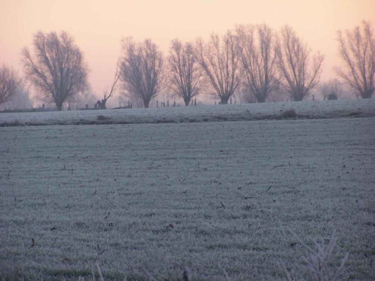B & B Victors Hof, Met Zwemvijver In Landelijke Setting Lievegem Bagian luar foto