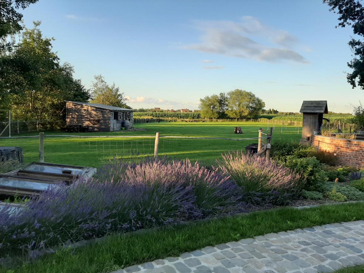 B & B Victors Hof, Met Zwemvijver In Landelijke Setting Lievegem Bagian luar foto