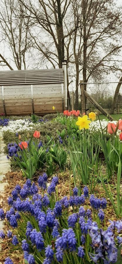 B & B Victors Hof, Met Zwemvijver In Landelijke Setting Lievegem Bagian luar foto