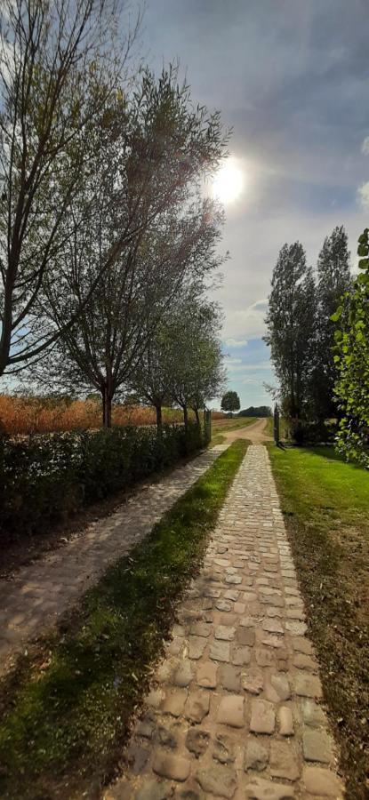 B & B Victors Hof, Met Zwemvijver In Landelijke Setting Lievegem Bagian luar foto