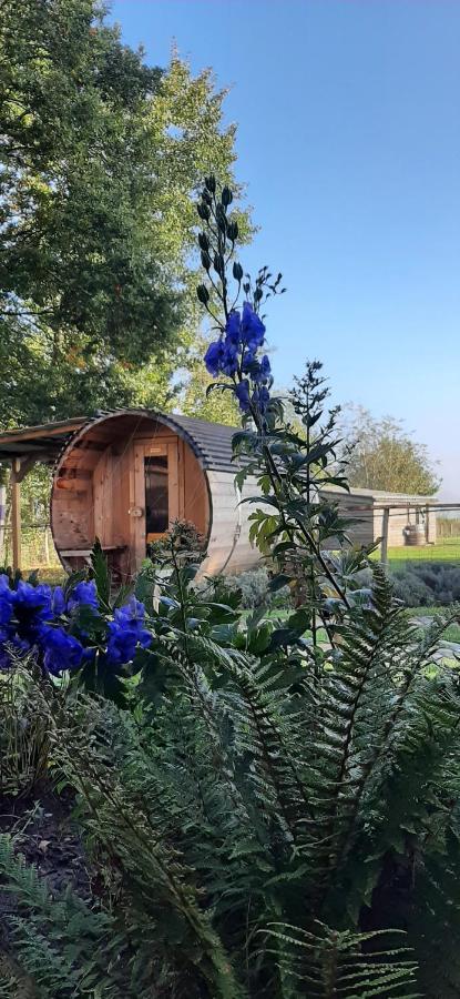 B & B Victors Hof, Met Zwemvijver In Landelijke Setting Lievegem Bagian luar foto